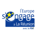 logo Fonds Social Europpéen